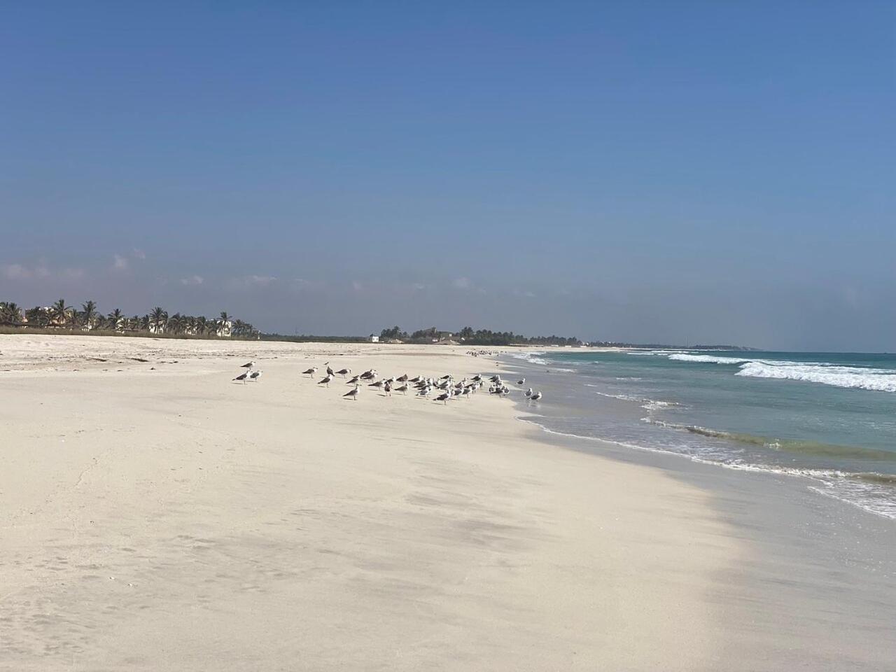 Amazing Apartment Salalah