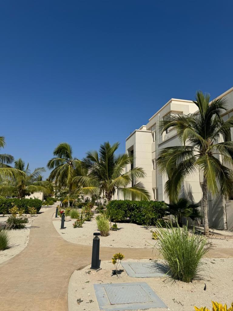 Amazing Salalah
